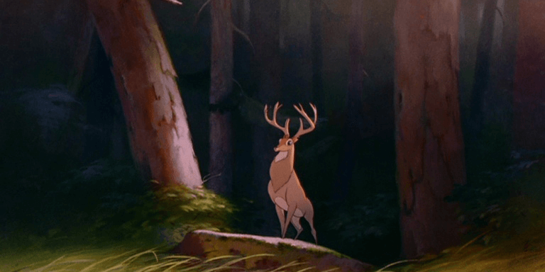 bambi foret