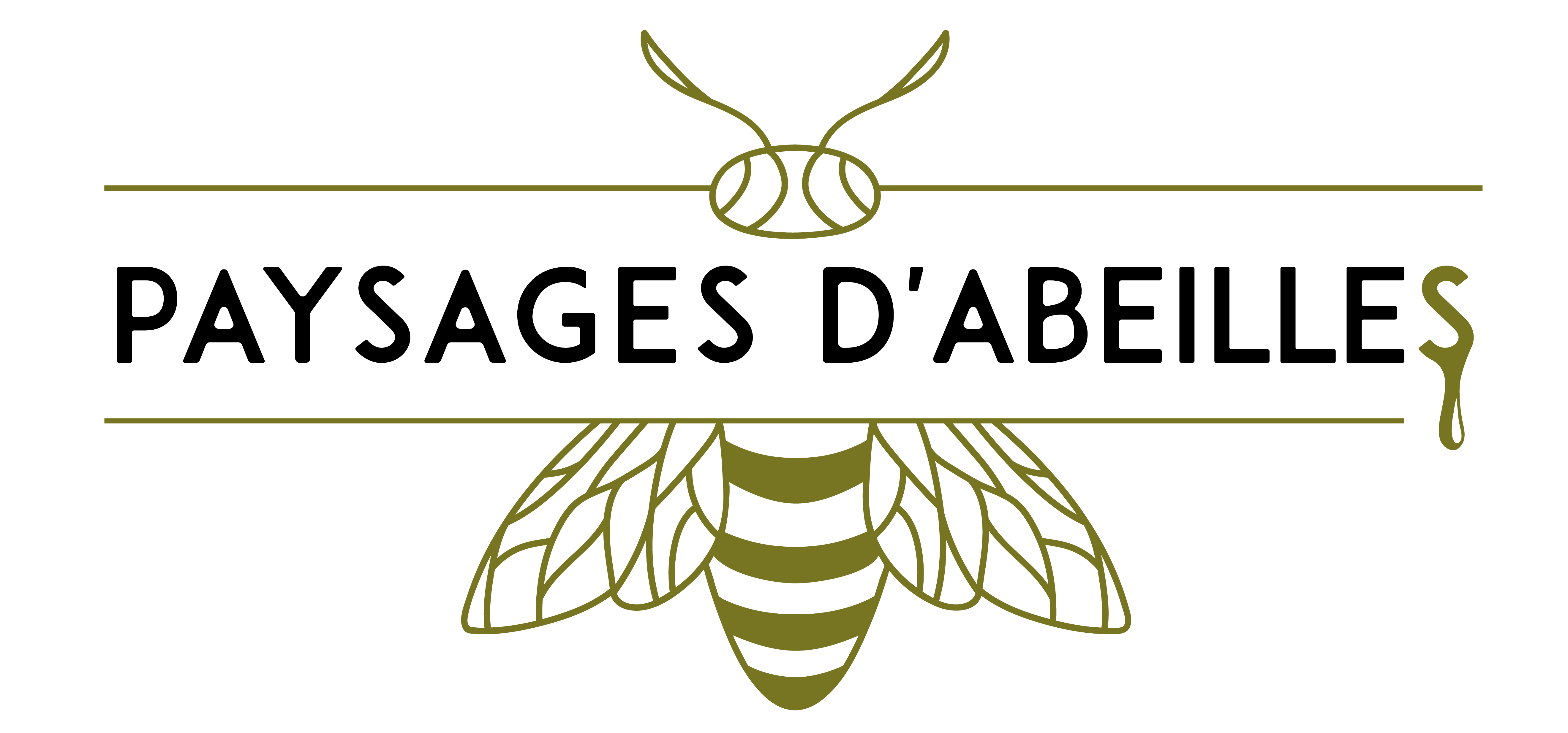 paysages d abeilles